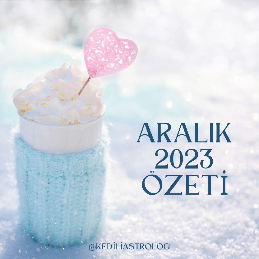 ARALIK 2023 ÖZETİ