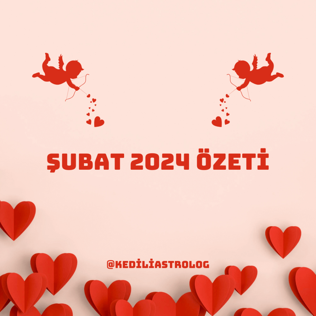 ŞUBAT 2024 ÖZETİ