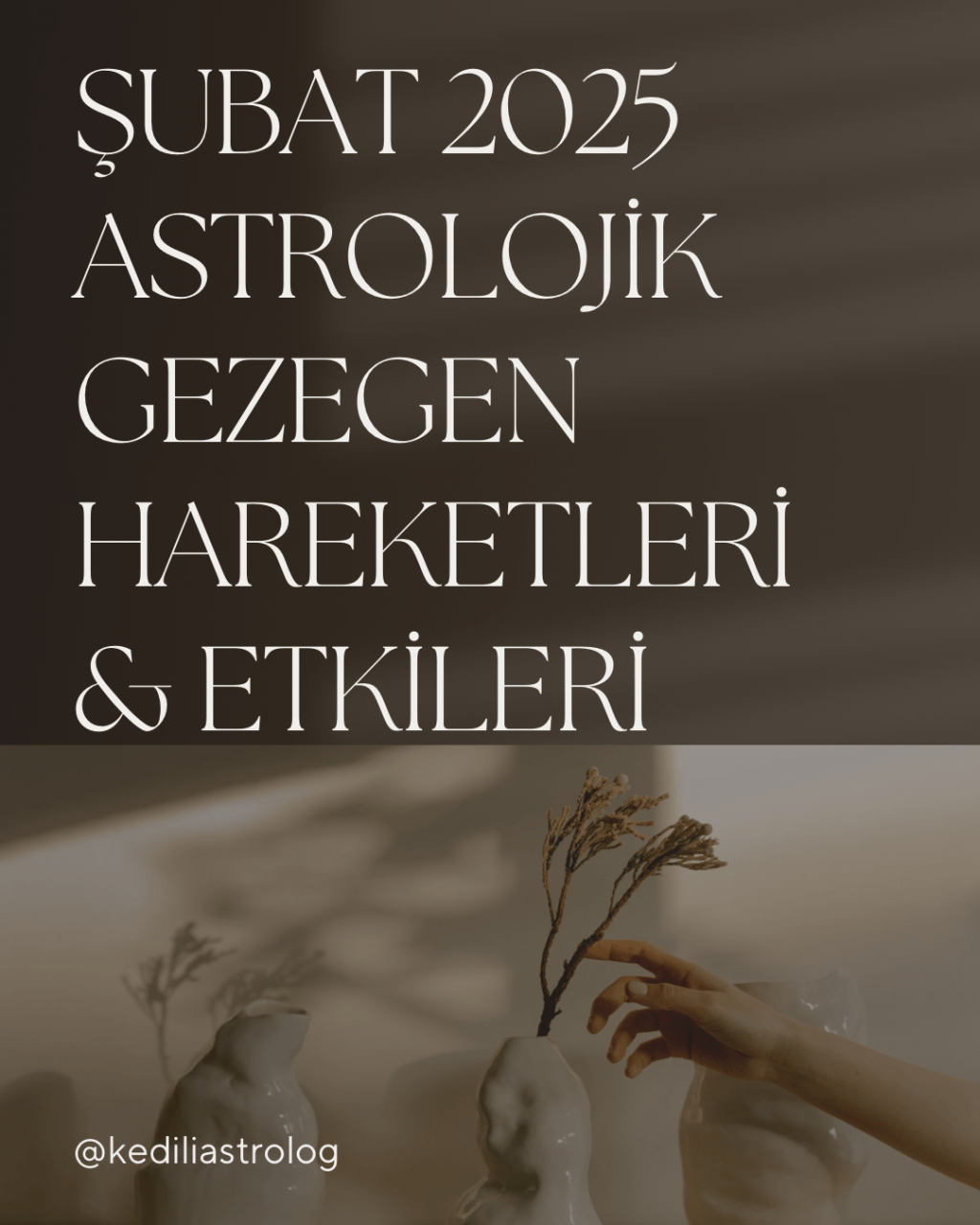 Şubat 2025 Astrolojisi – Kuzey Düğümü Neptün ile&nbsp;Kavuşum