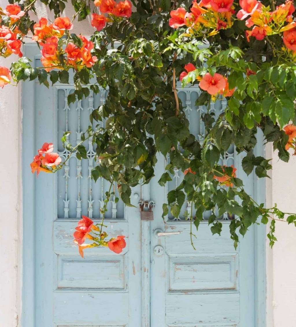 ☀️ 16–22 Haziran 2025&nbsp;Haftası