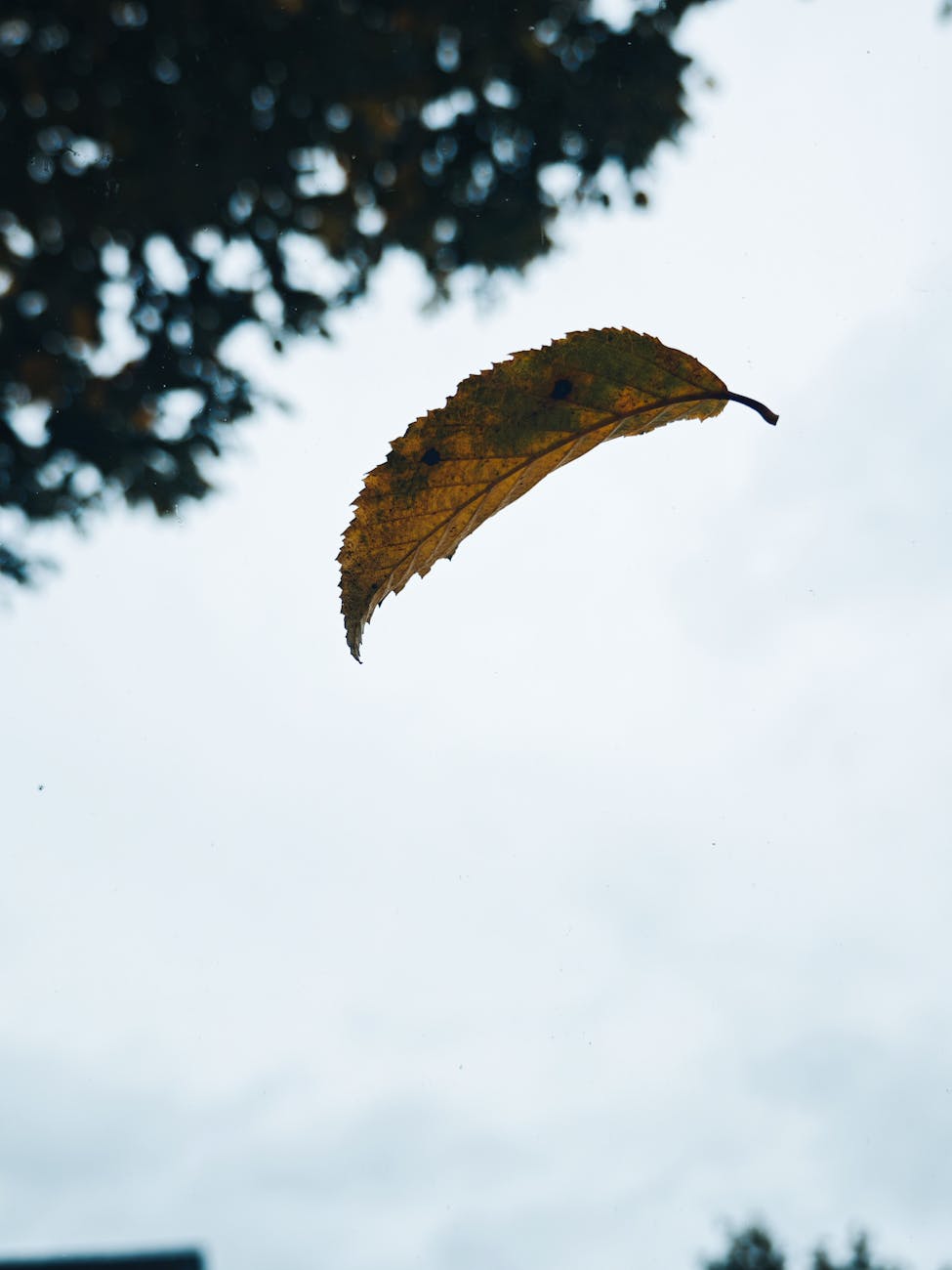 15–21 Eylül 2025 Haftalık Astroloji ve Burç&nbsp;Yorumları